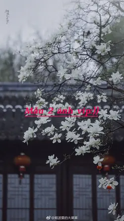 MẪU 2 ẢNH XỊN:))