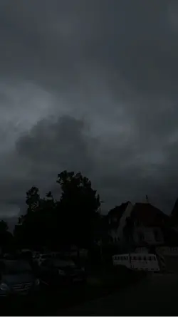 🕊️