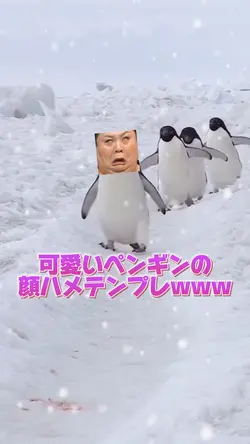 可愛いペンギンの顔ハメテンプレ