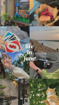 life in june