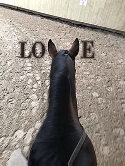 What is love?
