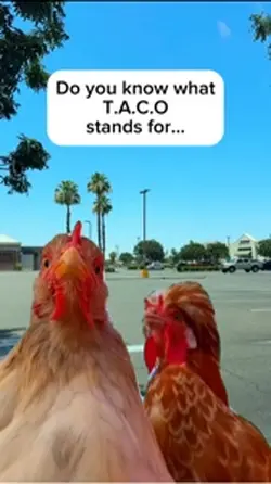 Happy Taco Tuesday 🤣