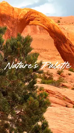 Nature's Palette