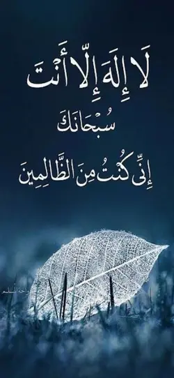 Tariq Jameel officia