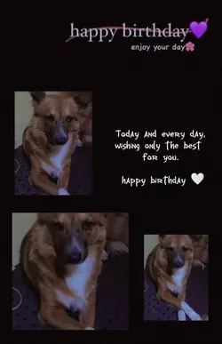 Birthday Template