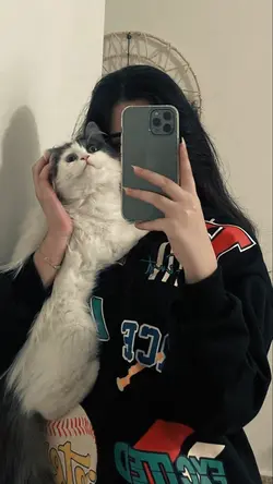 estetik~