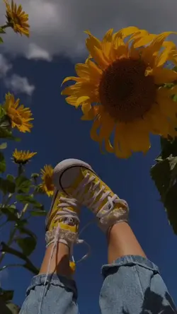 23 Video