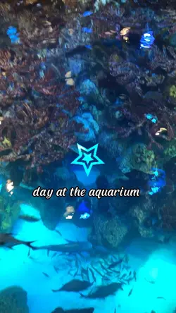 Aquarium 