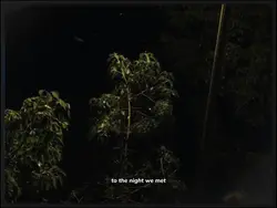 the night we met