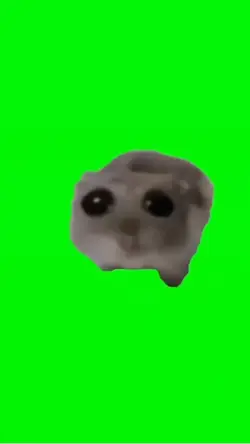 FUNNY SINGING PET
