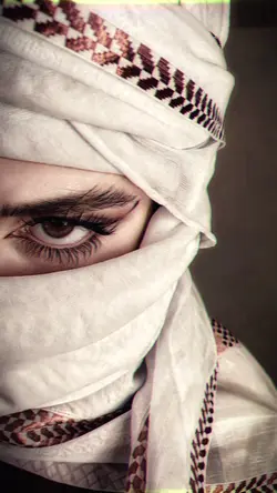 habibi