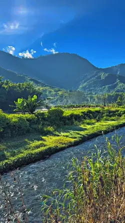 HD JERNIH 4K
