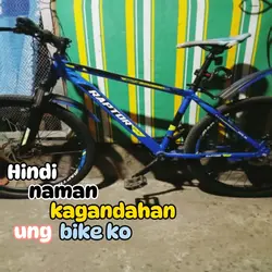 Budget Meal Lang