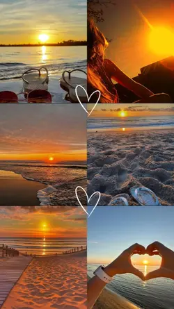 6 photos