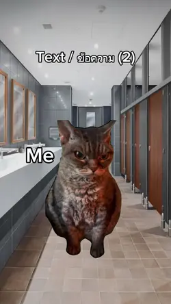  cat talks a lot 2