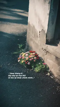 Dear tháng 8