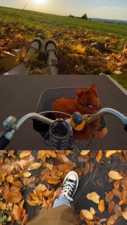 Autumn 🍂