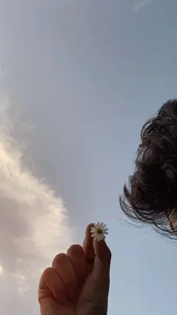aesthetic 
