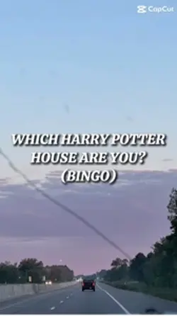 Harry Potter house 