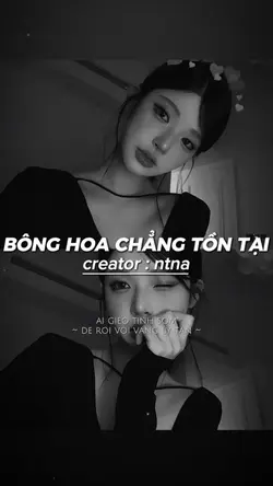 BHCTT