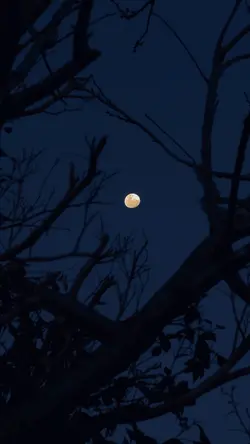 To be alone at night