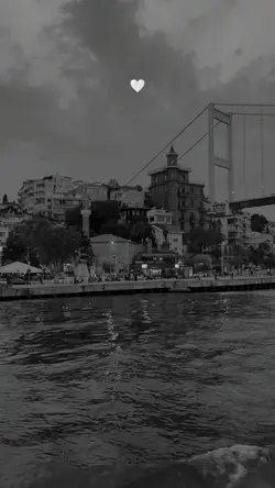 Viral Şablon