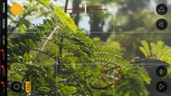 Color Grading templa