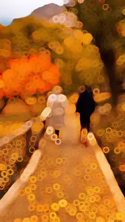 4K video Autumn