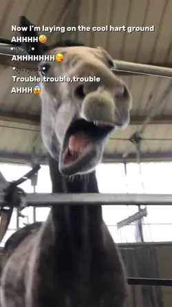 AHHHH😱😱
