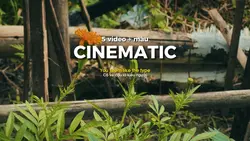 Cinematic 5 video