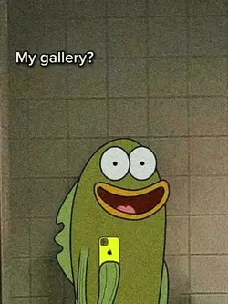 my gallery ? mlbb