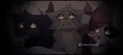 Warrior cats trailer