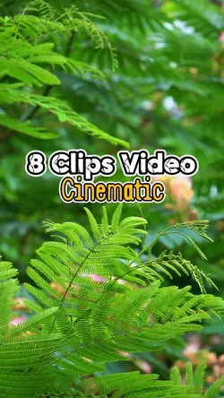 8 Clips Video
