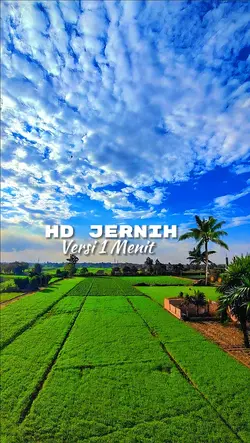 Filter HD Jernih 
