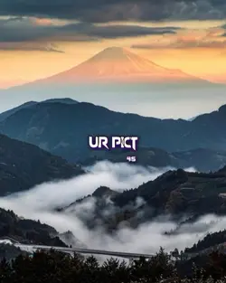 11 photos