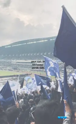 aa persib