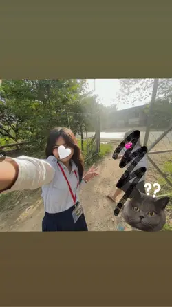 Song Thai but k’nh 