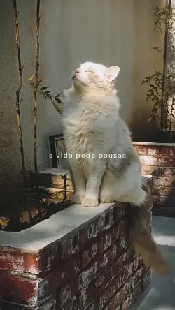A vida pede pausas