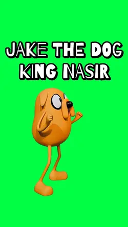 JAKE THE DOG NASIR