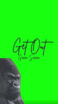 Get Out Gorilla 🦍 