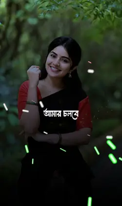 সমালোচনা