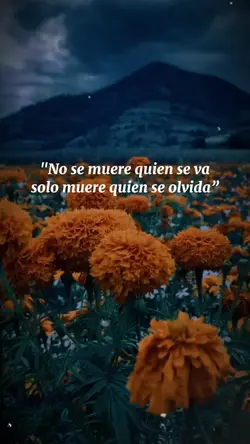 jamás te olvidare 