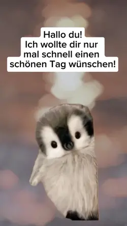 Pinguin nice day