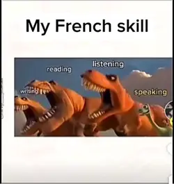 My French skills 