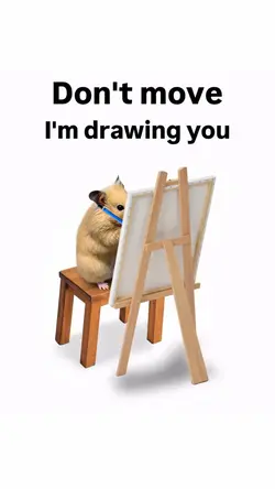 FUNNY MEME