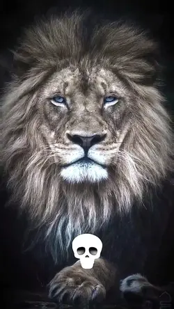 Messi This King