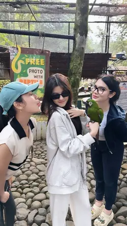 ko tolong bilang