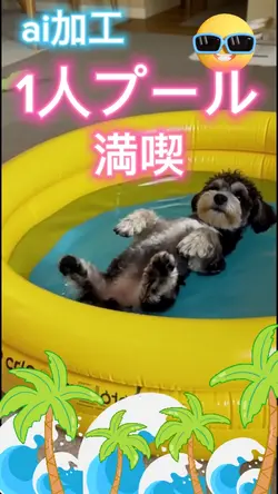 うちの子がプール満喫🏖☀️