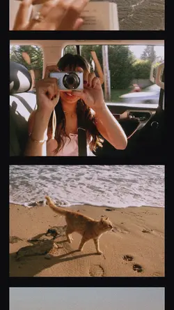 scroll collage