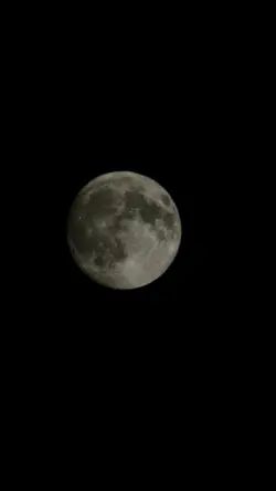 moon night 